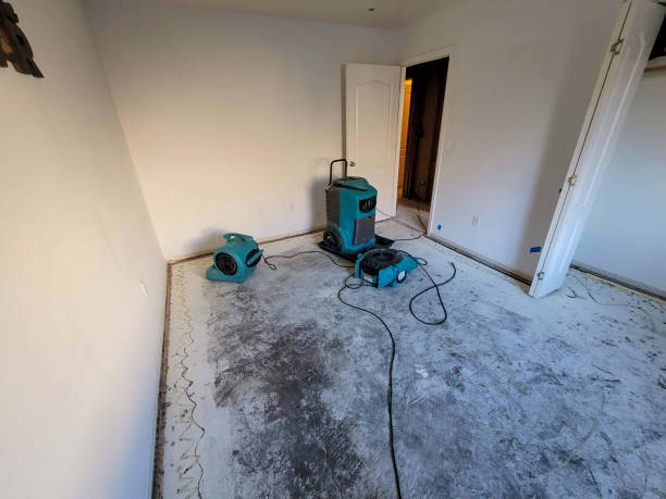 Best Water damage restoration near me  in Burlington, IA