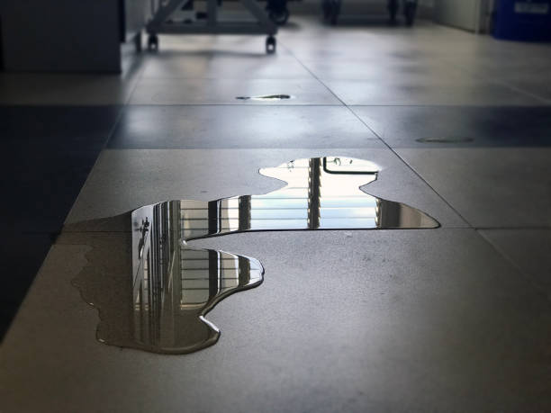 Best Water damage restoration insurance claims  in Burlington, IA