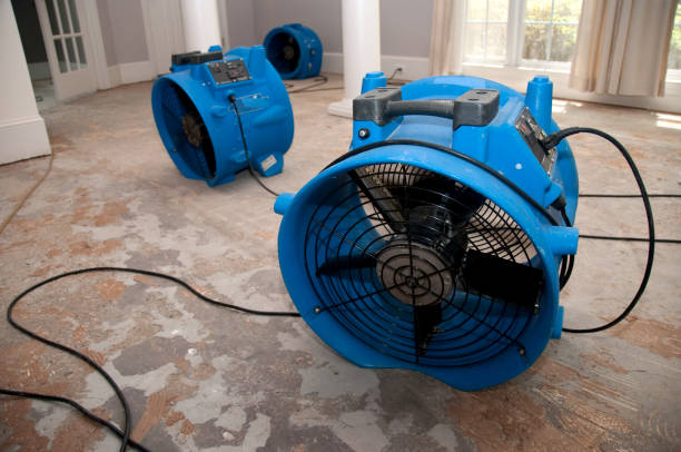 Best Water damage restoration process  in Burlington, IA