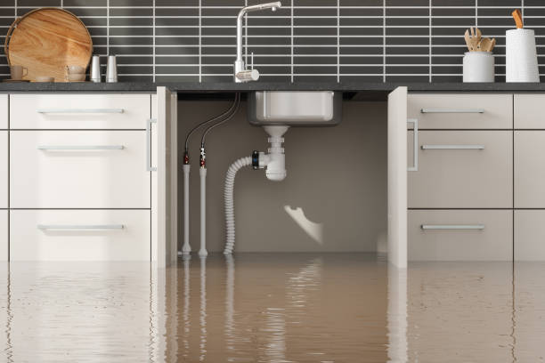 Best Emergency water extraction  in Burlington, IA