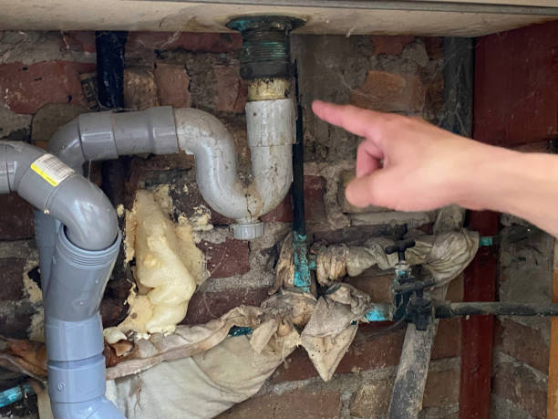 Best Professional water damage repair  in Burlington, IA