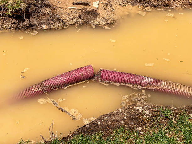 Best Mold removal after water damage  in Burlington, IA