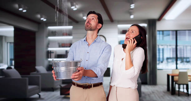 Best Water damage restoration near me  in Burlington, IA